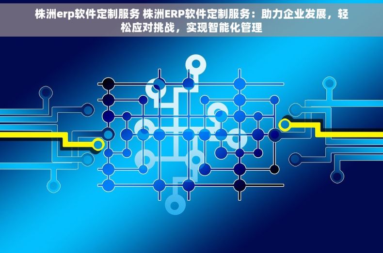 株洲erp软件定制服务 株洲ERP软件定制服务：助力企业发展，轻松应对挑战，实现智能化管理