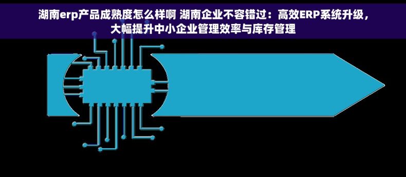 湖南erp产品成熟度怎么样啊 湖南企业不容错过：高效ERP系统升级，大幅提升中小企业管理效率与库存管理