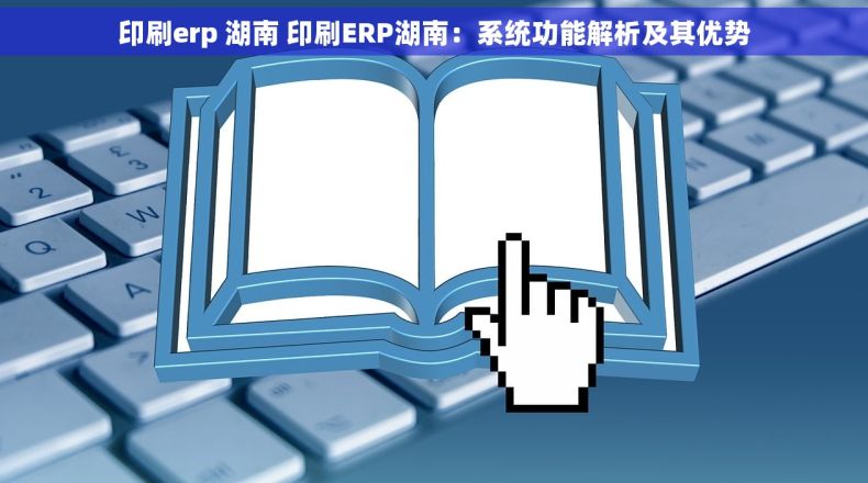 印刷erp 湖南 印刷ERP湖南：系统功能解析及其优势