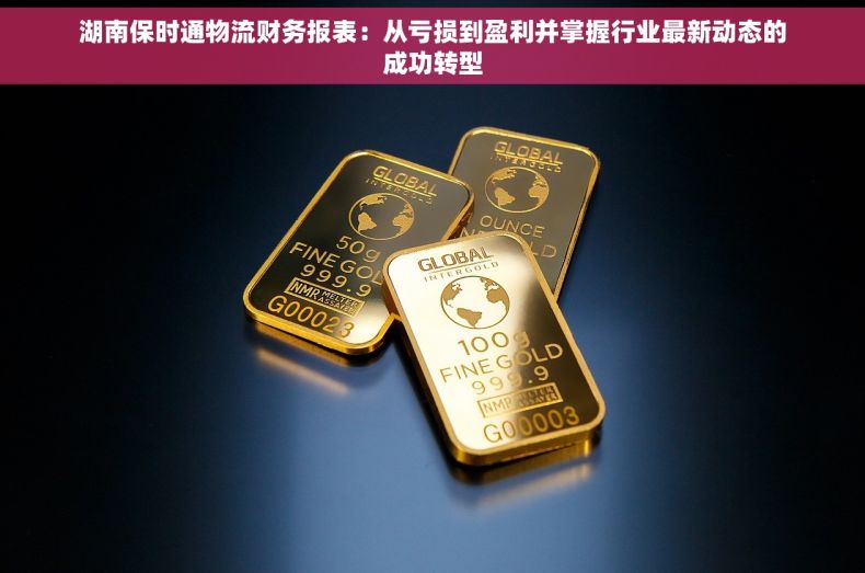 湖南保时通物流财务报表：从亏损到盈利并掌握行业最新动态的成功转型