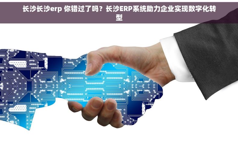 长沙长沙erp 你错过了吗？长沙ERP系统助力企业实现数字化转型