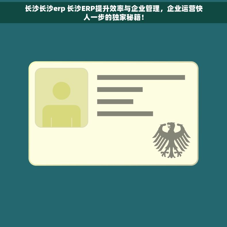 长沙长沙erp 长沙ERP提升效率与企业管理，企业运营快人一步的独家秘籍！