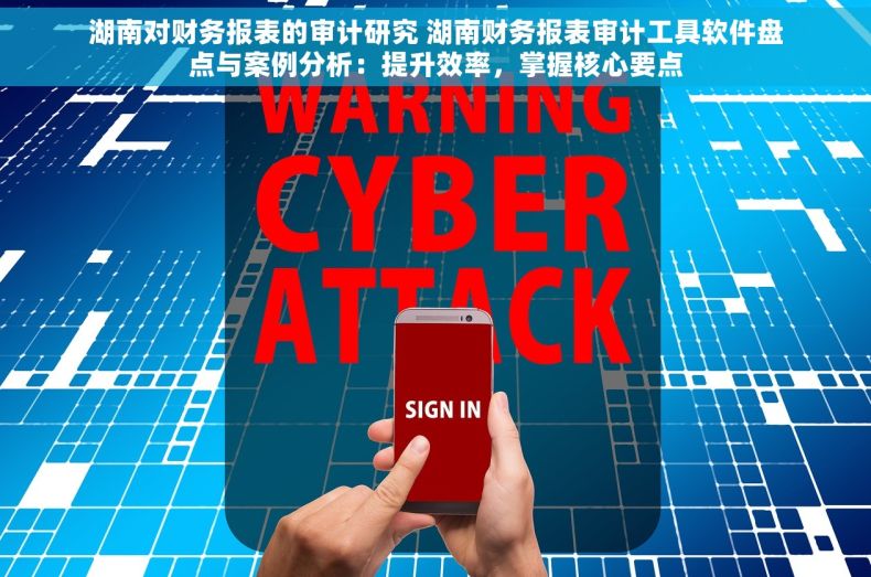 湖南对财务报表的审计研究 湖南财务报表审计工具软件盘点与案例分析：提升效率，掌握核心要点