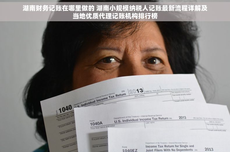湖南财务记账在哪里做的 湖南小规模纳税人记账最新流程详解及当地优质代理记账机构排行榜