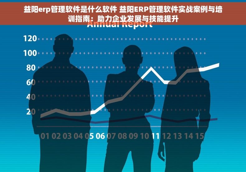 益阳erp管理软件是什么软件 益阳ERP管理软件实战案例与培训指南：助力企业发展与技能提升