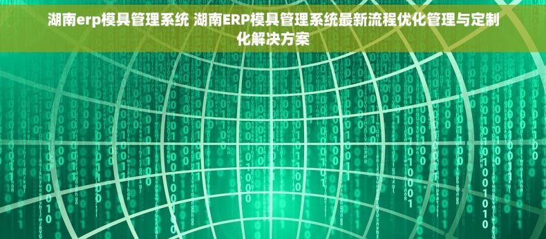 湖南erp模具管理系统 湖南ERP模具管理系统最新流程优化管理与定制化解决方案