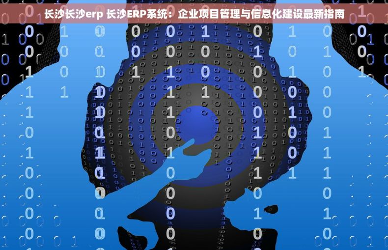 长沙长沙erp 长沙ERP系统：企业项目管理与信息化建设最新指南