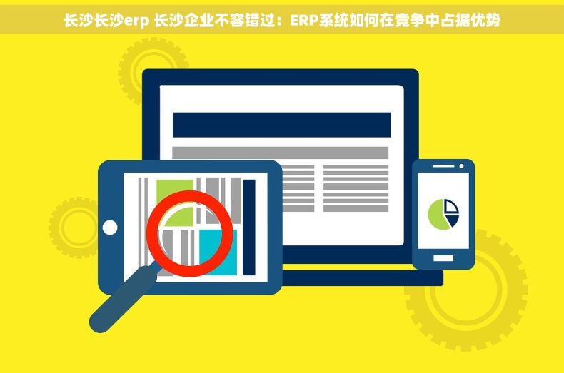 长沙长沙erp 长沙企业不容错过：ERP系统如何在竞争中占据优势