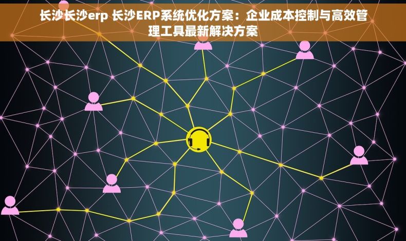 长沙长沙erp 长沙ERP系统优化方案：企业成本控制与高效管理工具最新解决方案