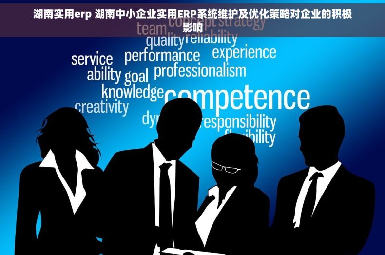 湖南实用erp 湖南中小企业实用ERP系统维护及优化策略对企业的积极影响
