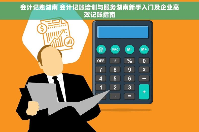 会计记账湖南 会计记账培训与服务湖南新手入门及企业高效记账指南