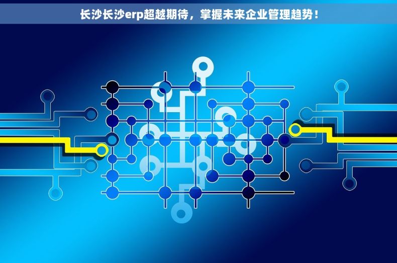 长沙长沙erp超越期待，掌握未来企业管理趋势！