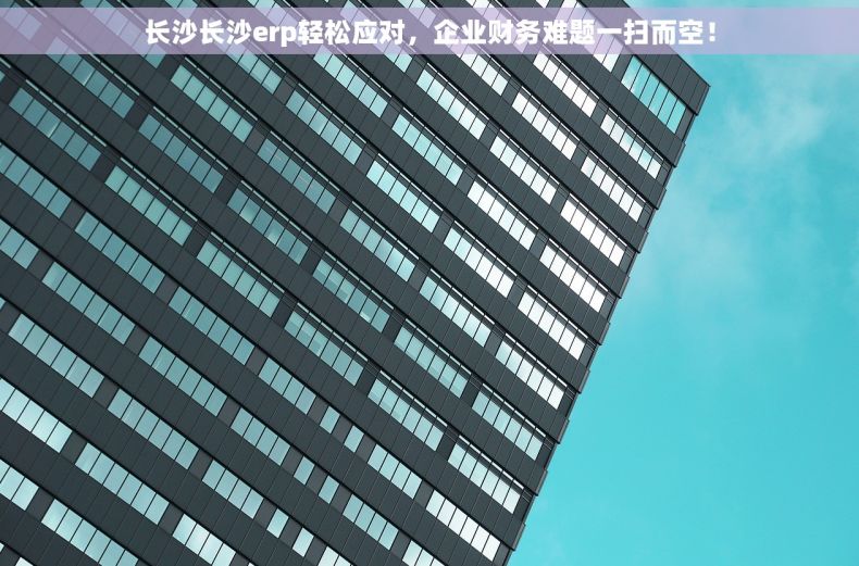 长沙长沙erp轻松应对，企业财务难题一扫而空！