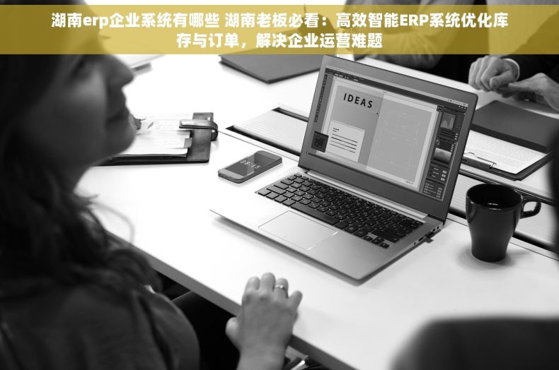 湖南erp企业系统有哪些 湖南老板必看：高效智能ERP系统优化库存与订单，解决企业运营难题