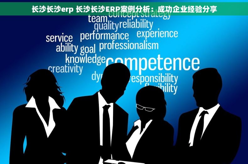 长沙长沙erp 长沙长沙ERP案例分析：成功企业经验分享