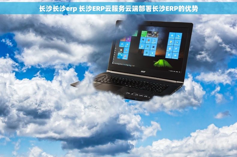 长沙长沙erp 长沙ERP云服务云端部署长沙ERP的优势