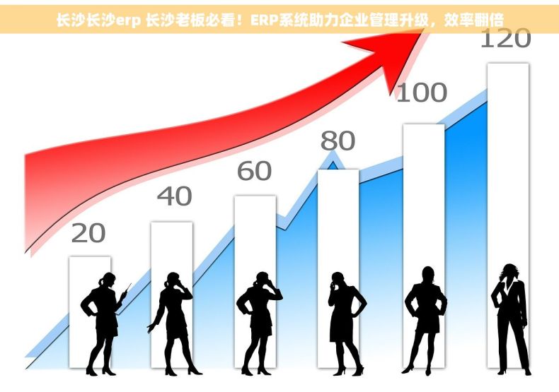 长沙长沙erp 长沙老板必看！ERP系统助力企业管理升级，效率翻倍