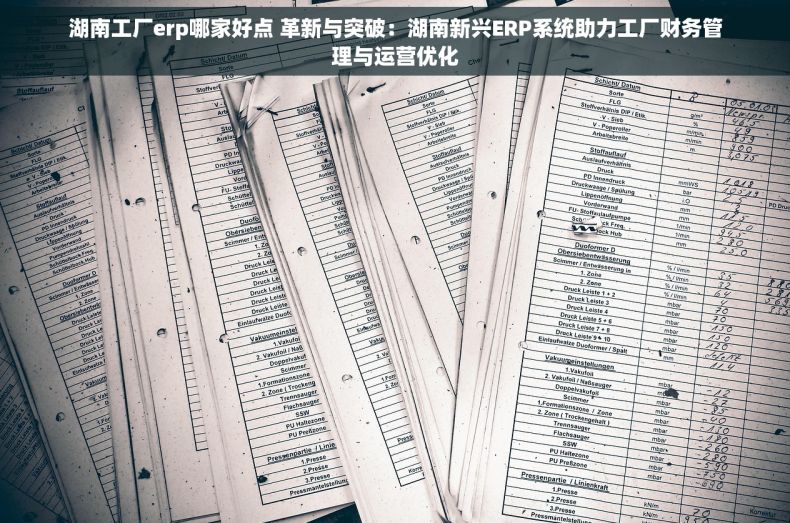 湖南工厂erp哪家好点 革新与突破：湖南新兴ERP系统助力工厂财务管理与运营优化