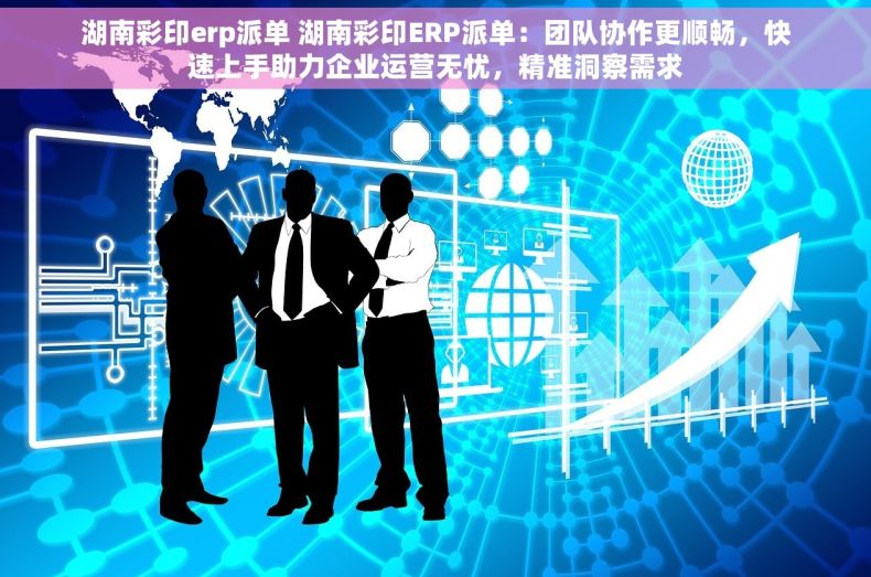 湖南彩印erp派单 湖南彩印ERP派单：团队协作更顺畅，快速上手助力企业运营无忧，精准洞察需求