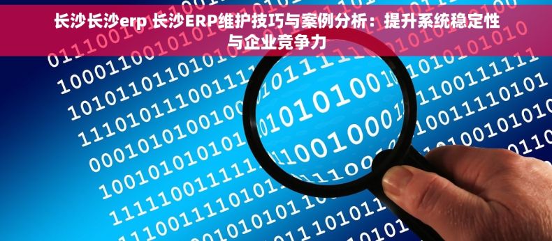 长沙长沙erp 长沙ERP维护技巧与案例分析：提升系统稳定性与企业竞争力