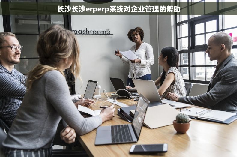 长沙长沙erperp系统对企业管理的帮助