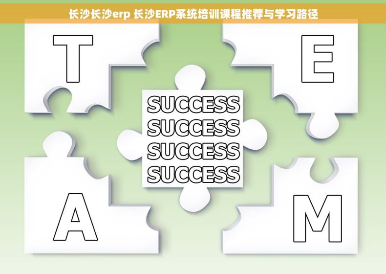 长沙长沙erp 长沙ERP系统培训课程推荐与学习路径