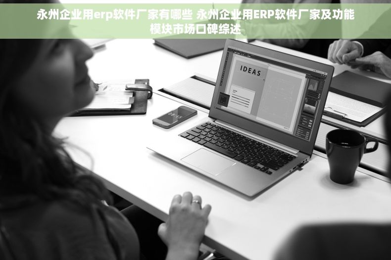 永州企业用erp软件厂家有哪些 永州企业用ERP软件厂家及功能模块市场口碑综述