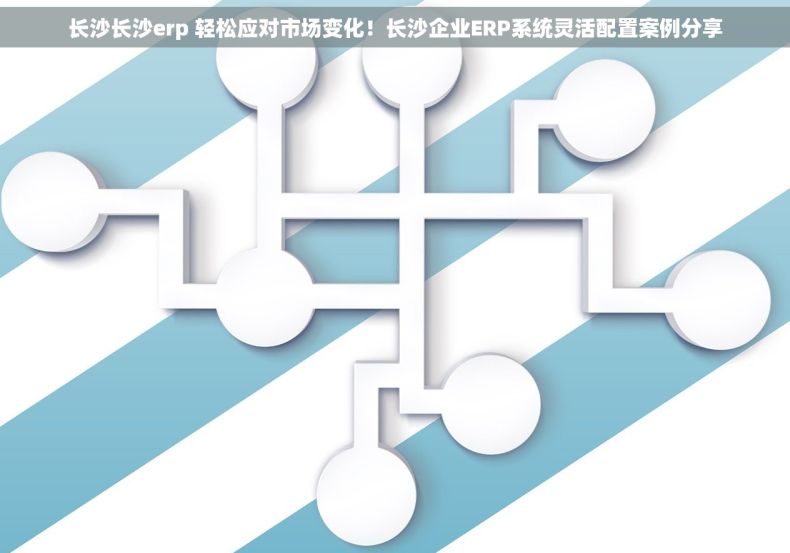 长沙长沙erp 轻松应对市场变化！长沙企业ERP系统灵活配置案例分享