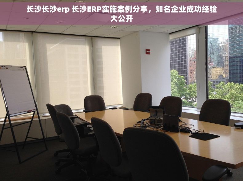 长沙长沙erp 长沙ERP实施案例分享，知名企业成功经验大公开