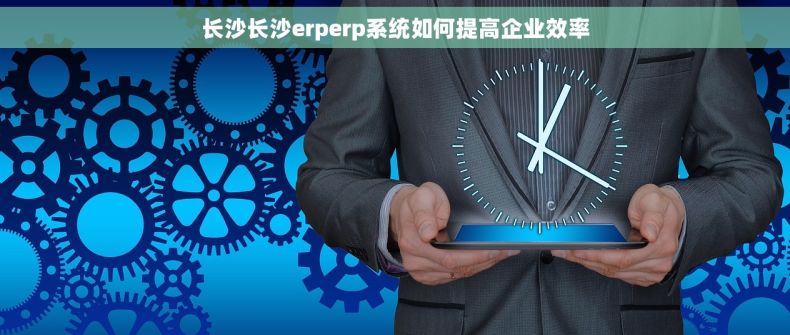长沙长沙erperp系统如何提高企业效率