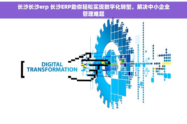 长沙长沙erp 长沙ERP助你轻松实现数字化转型，解决中小企业管理难题