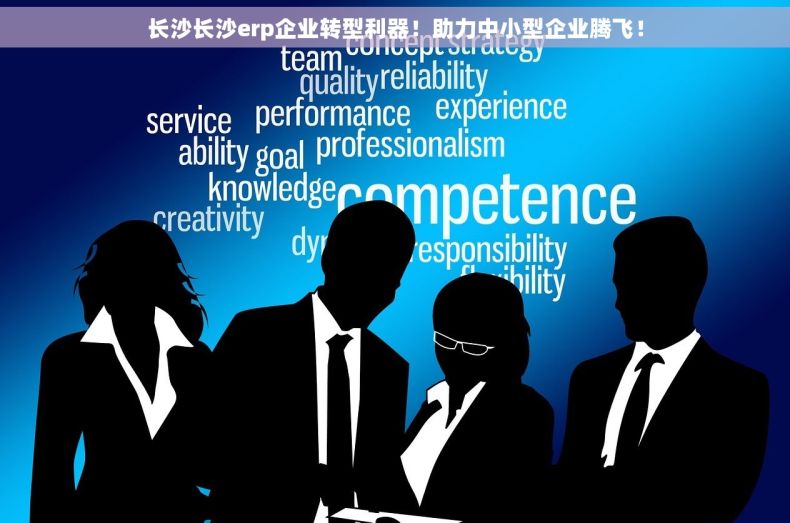 长沙长沙erp企业转型利器！助力中小型企业腾飞！