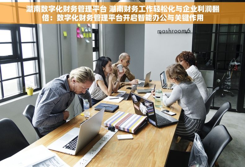 湖南数字化财务管理平台 湖南财务工作轻松化与企业利润翻倍：数字化财务管理平台开启智能办公与关键作用