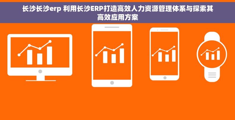 长沙长沙erp 利用长沙ERP打造高效人力资源管理体系与探索其高效应用方案