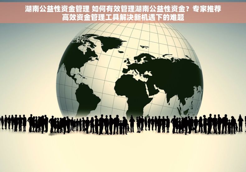 湖南公益性资金管理 如何有效管理湖南公益性资金？专家推荐高效资金管理工具解决新机遇下的难题