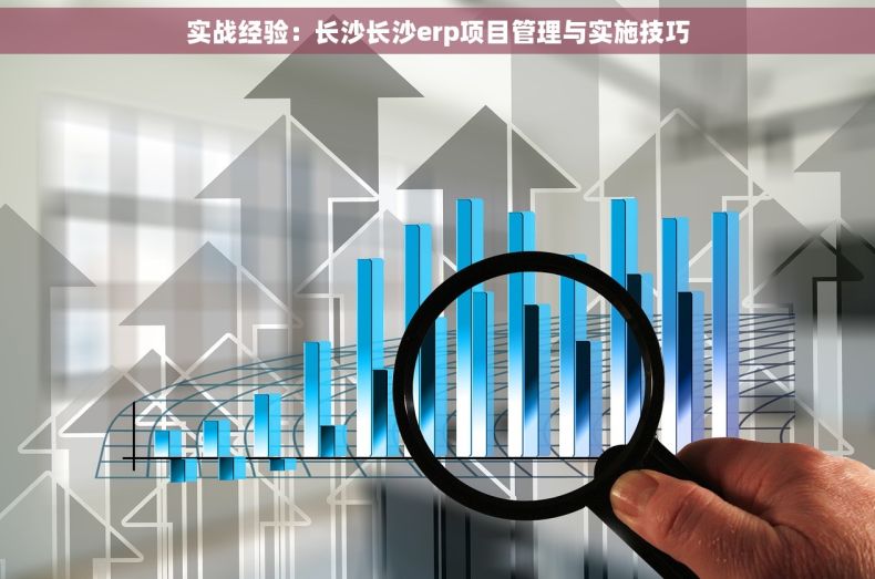 实战经验：长沙长沙erp项目管理与实施技巧