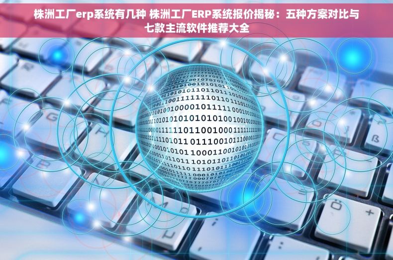 株洲工厂erp系统有几种 株洲工厂ERP系统报价揭秘：五种方案对比与七款主流软件推荐大全
