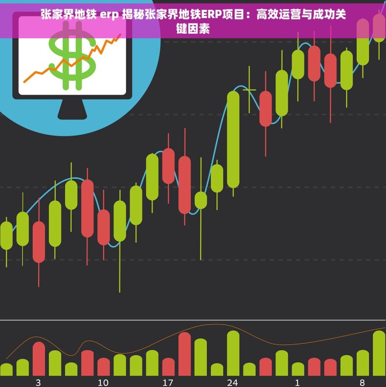 张家界地铁 erp 揭秘张家界地铁ERP项目：高效运营与成功关键因素