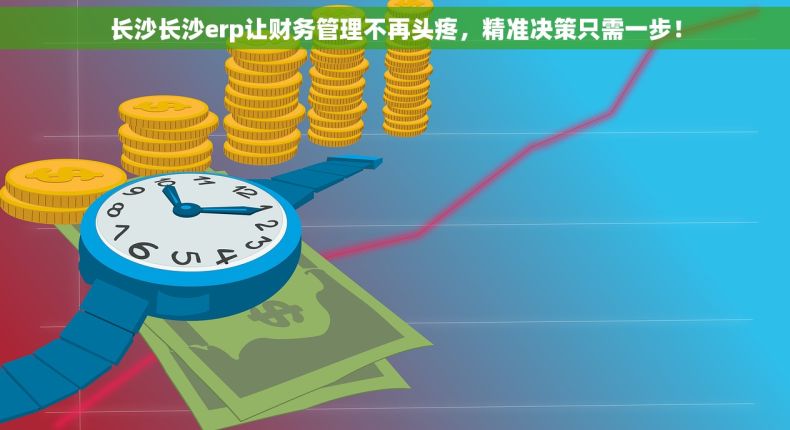长沙长沙erp让财务管理不再头疼，精准决策只需一步！