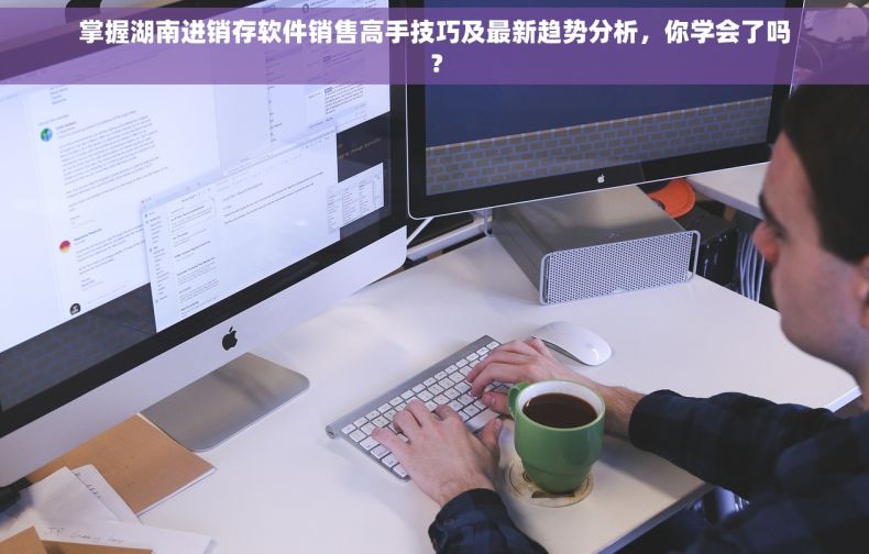 掌握湖南进销存软件销售高手技巧及最新趋势分析，你学会了吗？