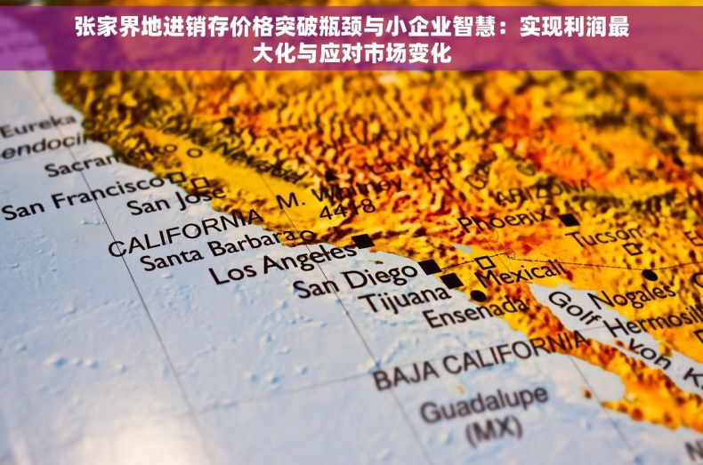 张家界地进销存价格突破瓶颈与小企业智慧：实现利润最大化与应对市场变化