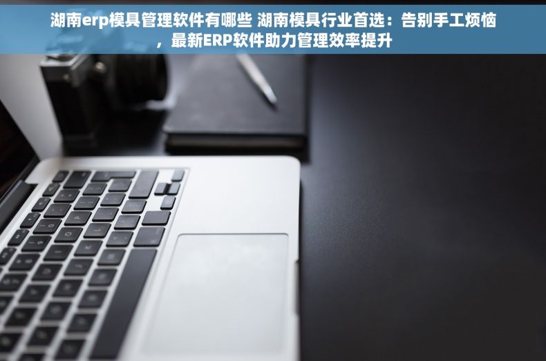 湖南erp模具管理软件有哪些 湖南模具行业首选：告别手工烦恼，最新ERP软件助力管理效率提升