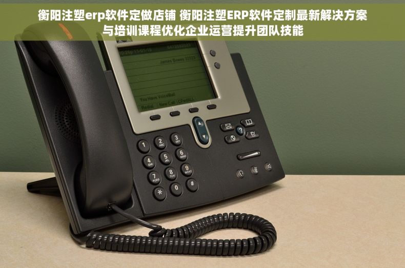 衡阳注塑erp软件定做店铺 衡阳注塑ERP软件定制最新解决方案与培训课程优化企业运营提升团队技能