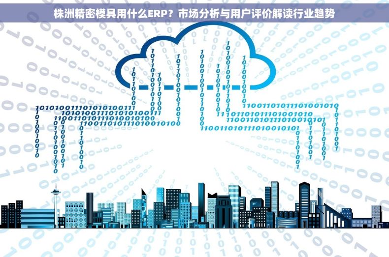 株洲精密模具用什么ERP？市场分析与用户评价解读行业趋势