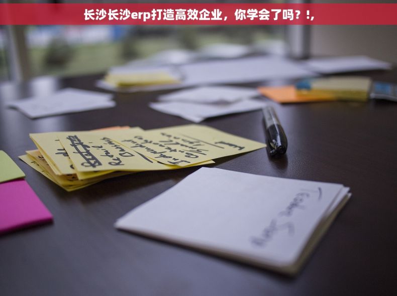 长沙长沙erp打造高效企业，你学会了吗？!,
