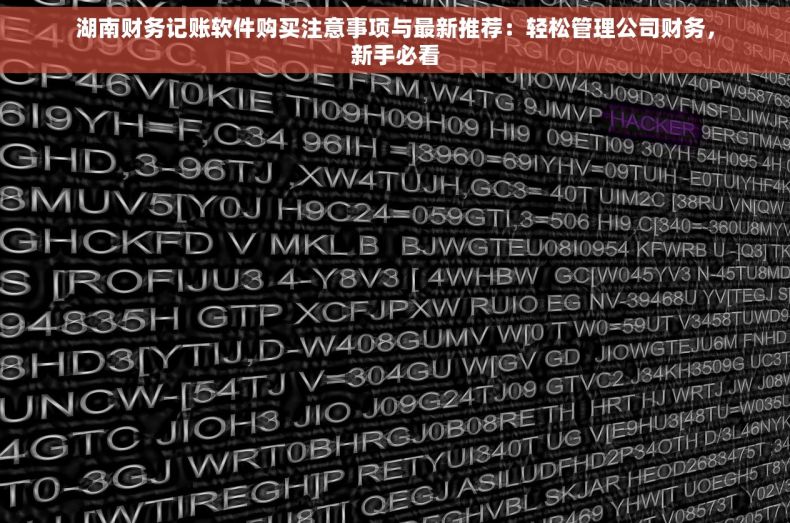 湖南财务记账软件购买注意事项与最新推荐：轻松管理公司财务，新手必看