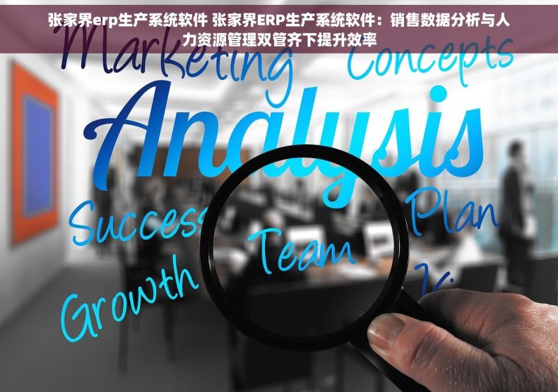 张家界erp生产系统软件 张家界ERP生产系统软件：销售数据分析与人力资源管理双管齐下提升效率