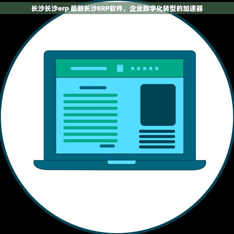 长沙长沙erp 最新长沙ERP软件，企业数字化转型的加速器