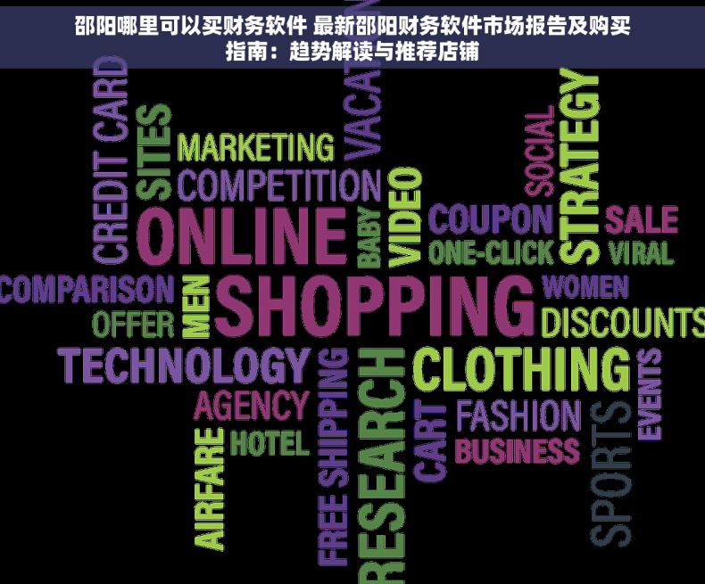 邵阳哪里可以买财务软件 最新邵阳财务软件市场报告及购买指南：趋势解读与推荐店铺