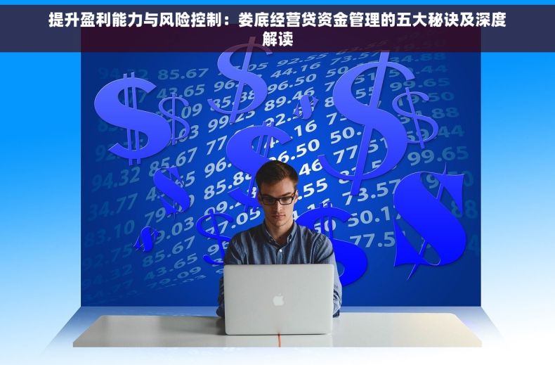 提升盈利能力与风险控制：娄底经营贷资金管理的五大秘诀及深度解读